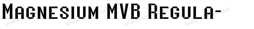 Magnesium MVB Regula字体转换
